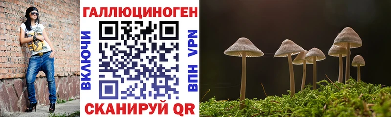 Псилоцибиновые грибы прущие грибы  что такое   Красноярск 